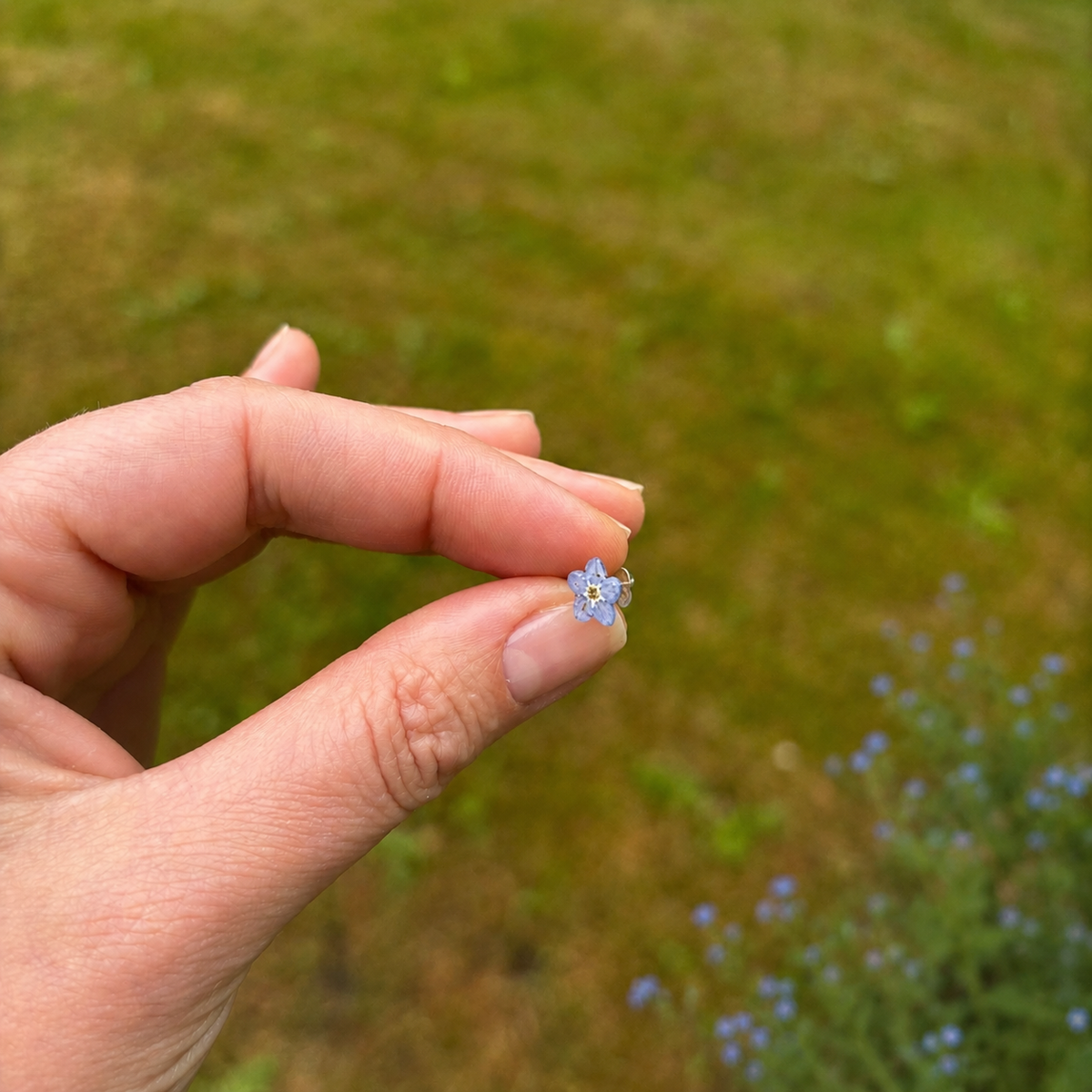 Forglemmegei smykkesett med ekte blomster – choker og øredobber i resin