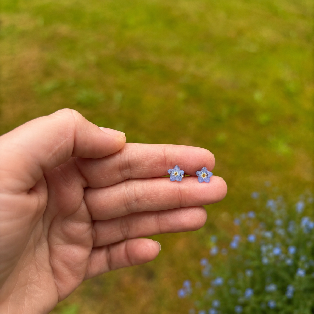 Forglemmegei smykkesett med ekte blomster – choker og øredobber i resin